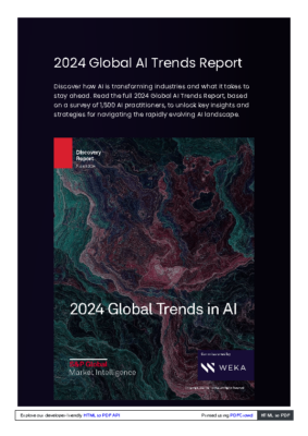 2024-global-ai-trends-report-discovery